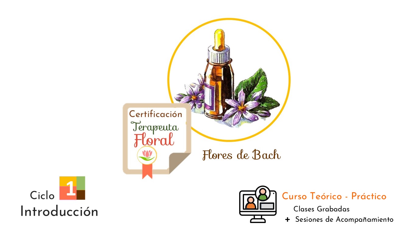 Ciclo 1 . Terapia Floral Bach . Introducción