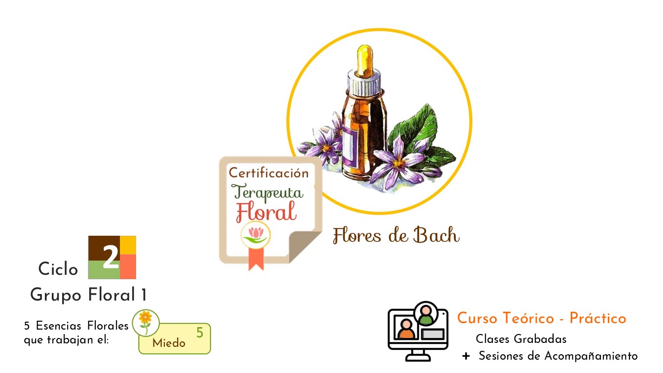 Ciclo 2 . Terapia Floral Bach . Grupo Floral 1 – Miedo