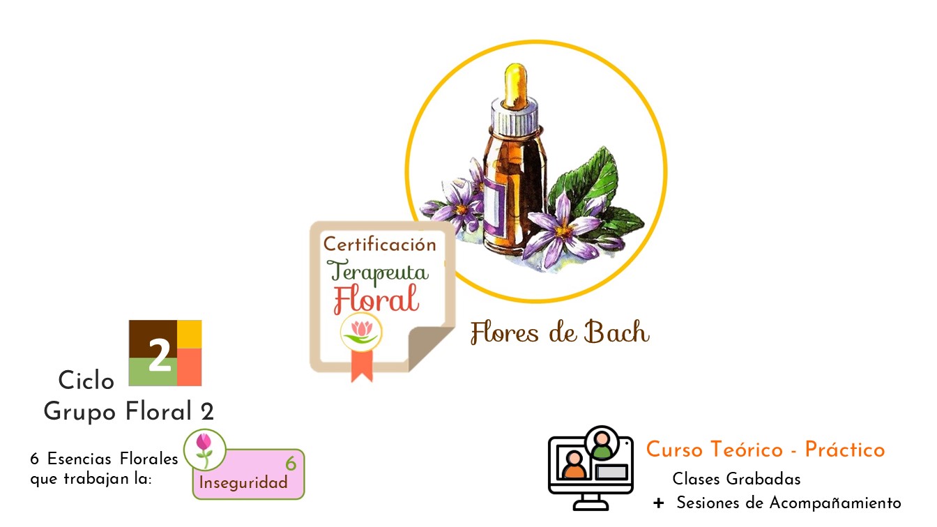 Ciclo 2 . Terapia Floral Bach . Grupo Floral 2 – Inseguridad