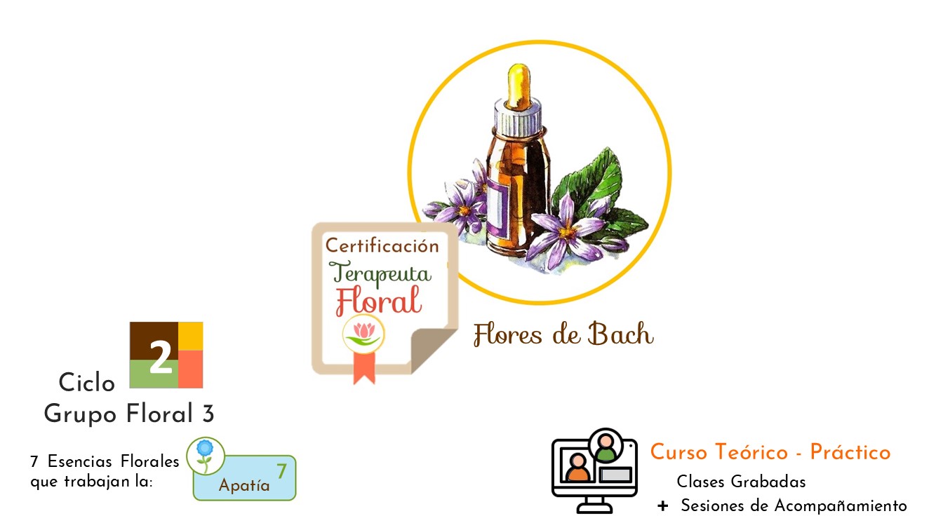 Ciclo 2 . Terapia Floral Bach . Grupo Floral 3 – Apatia