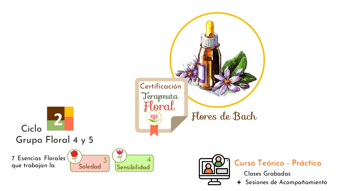 Ciclo 2 . Terapia Floral Bach . Grupo Floral 4 y 5 – Soledad y Sensibilidad
