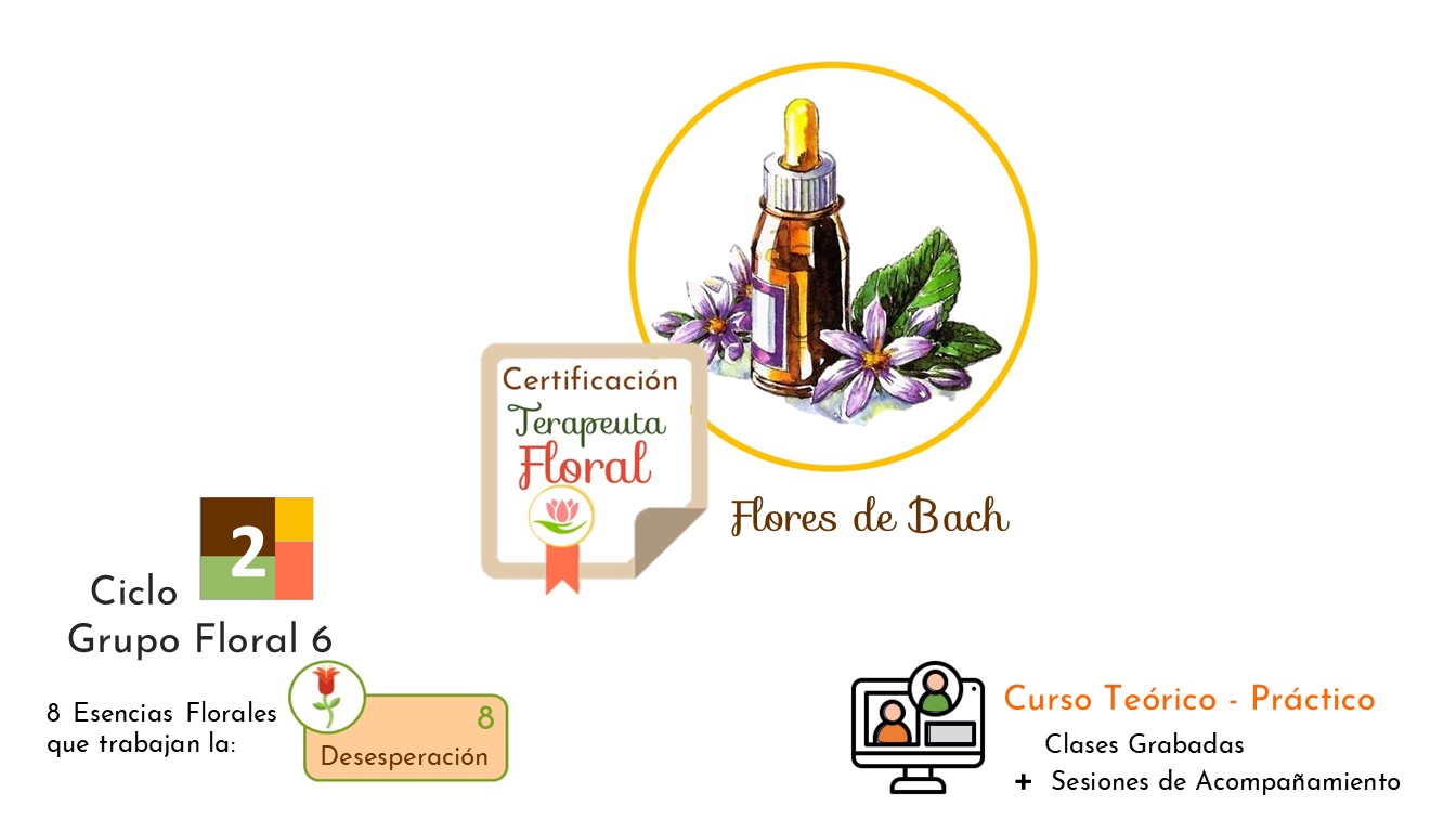 Ciclo 2 . Terapia Floral Bach . Grupo Floral 6 – Desesperación