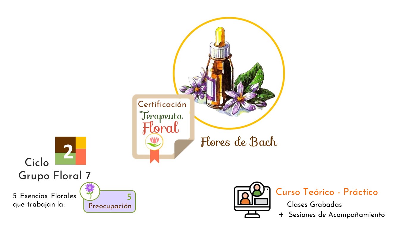 Ciclo 2 . Terapia Floral Bach . Grupo Floral 7 – Preocupación
