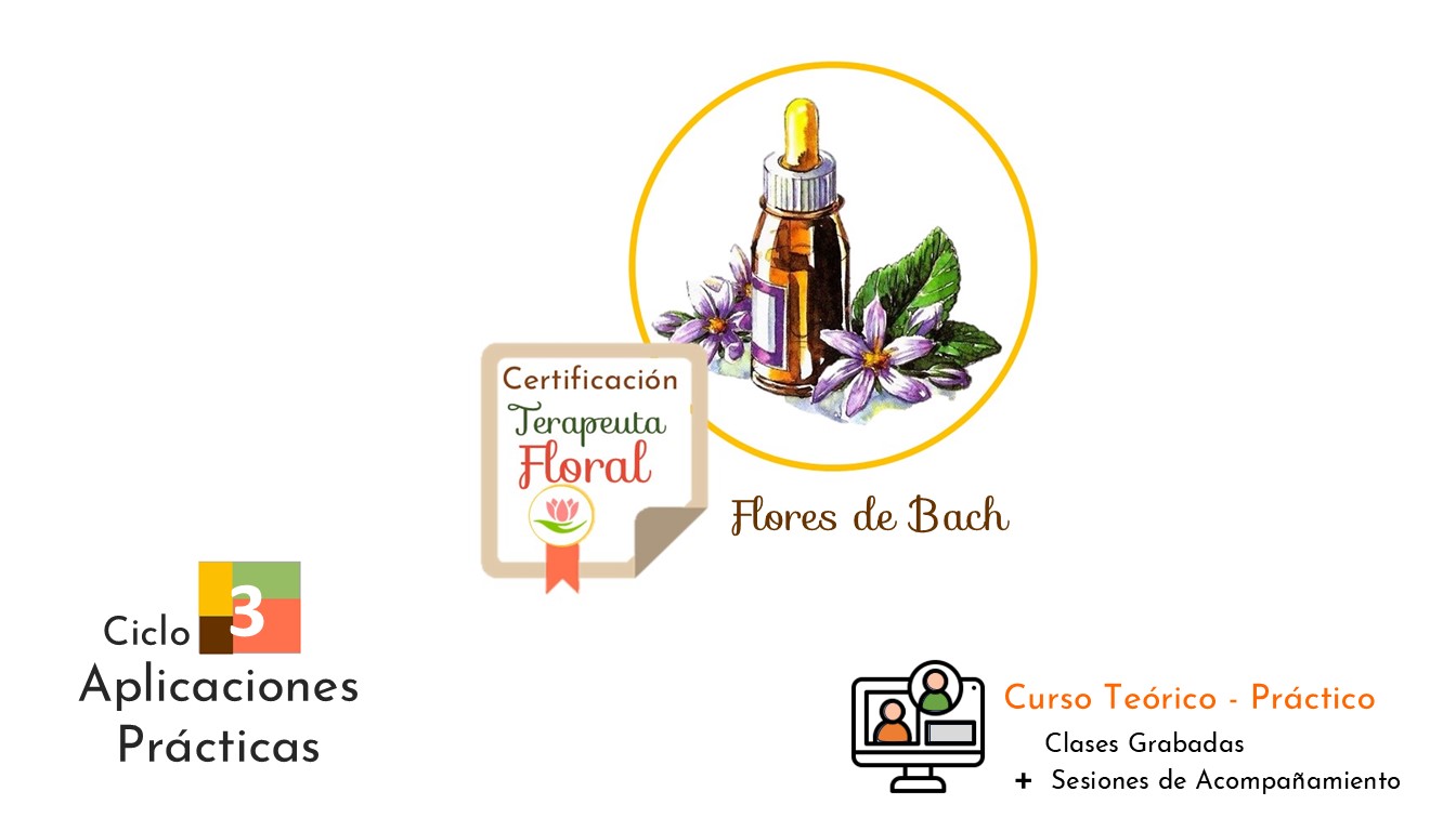 Ciclo 3 . Terapia Floral Bach . Aplicaciones Prácticas